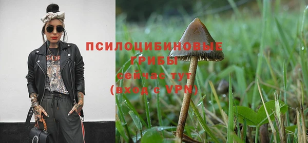 мдма Заводоуковск