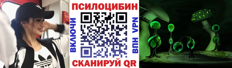 Псилоцибиновые грибы Cubensis  продажа наркотиков  Димитровград 